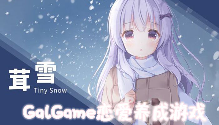 GalGame恋爱养成游戏