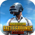 pubg molie全服