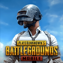 呆呆内部一体化修改pubg